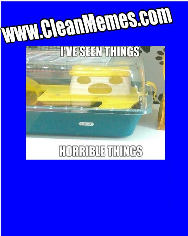 AllOfTheHorribleThings