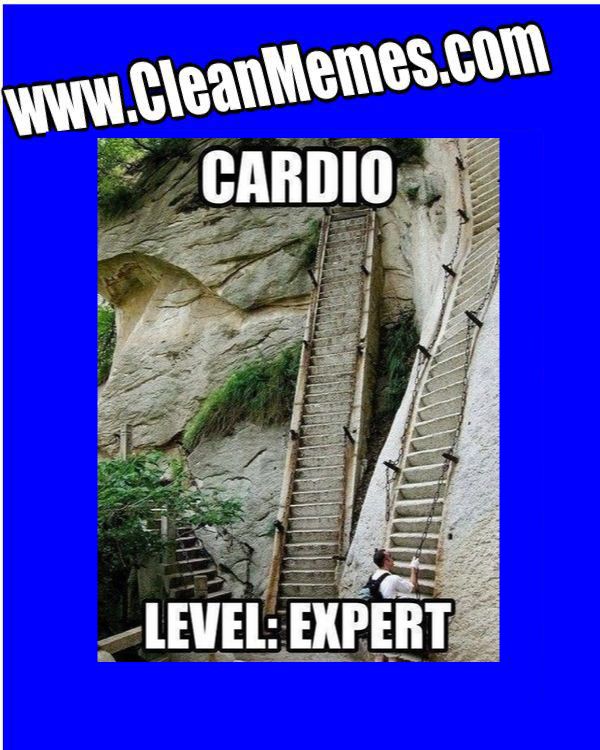 CardioSteps