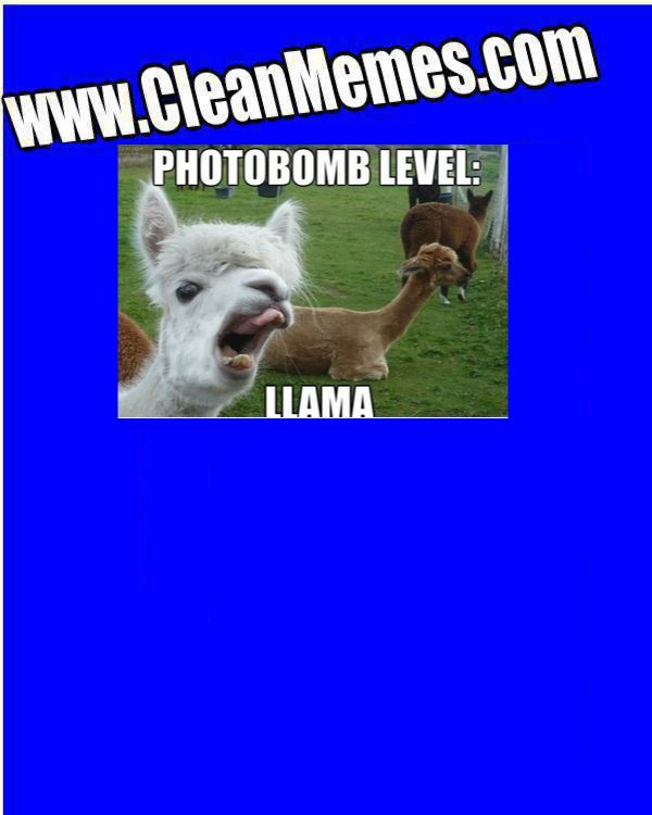 llamabomb