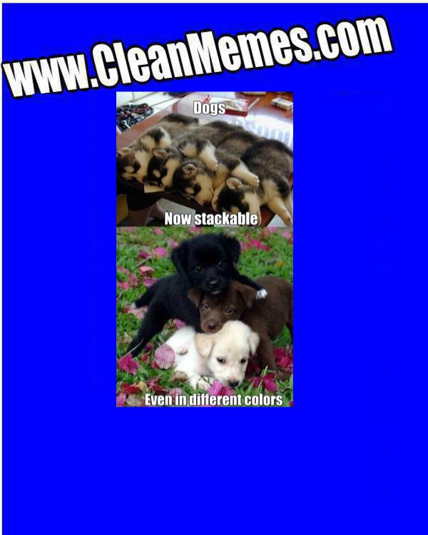 StackableDogs