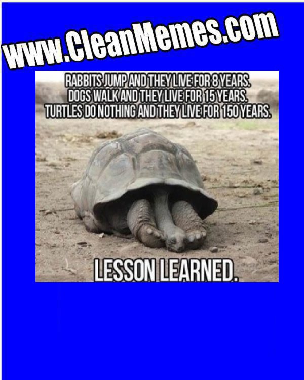 TurtleLessons