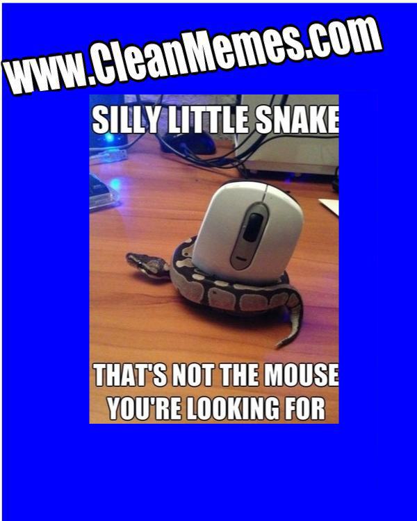 WrongMouse