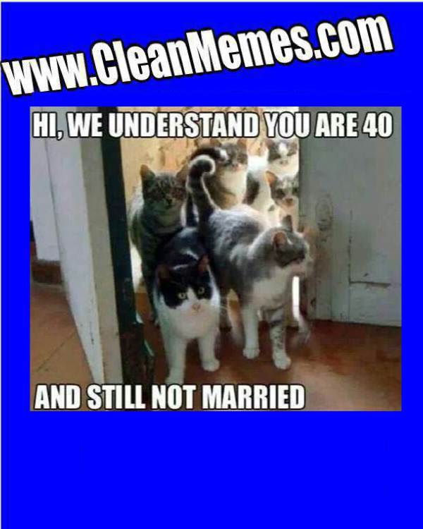 CrazyCatLadyRecruiting