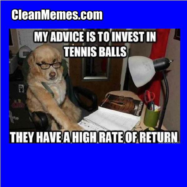 InvestingDog