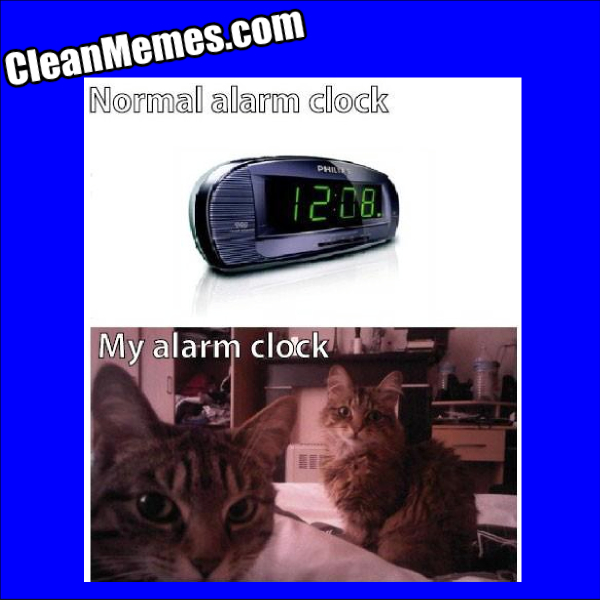 KittyAlarm