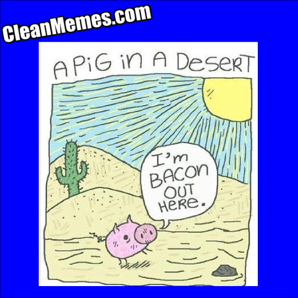 PigInADesert