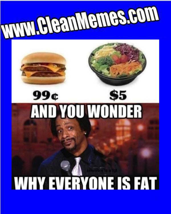 WhyTheyFat