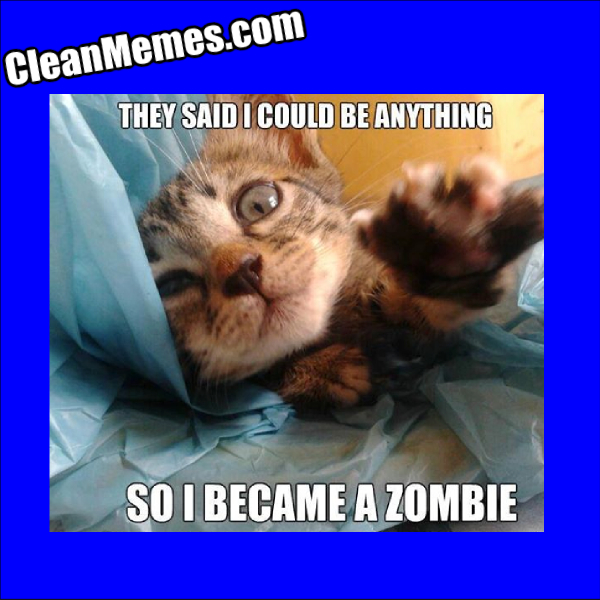 ZombieKitten