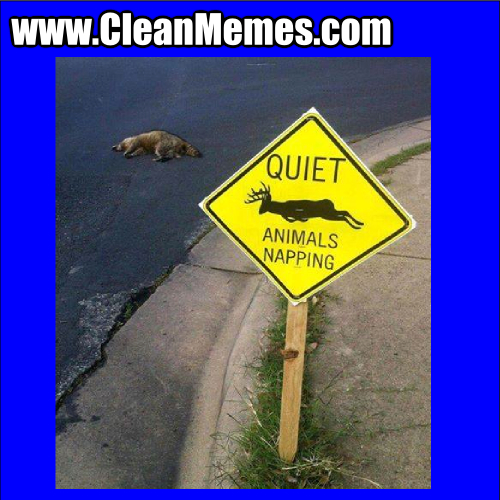 AnimalsNapping