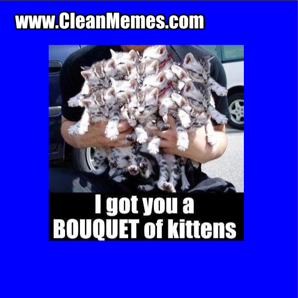 BouquetOfKittens