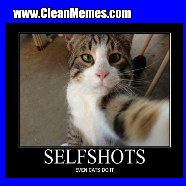 CatSelfie