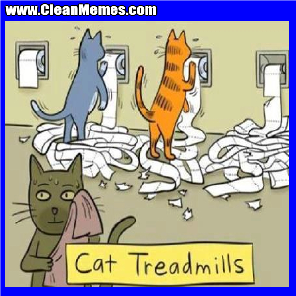 CatTreadMills