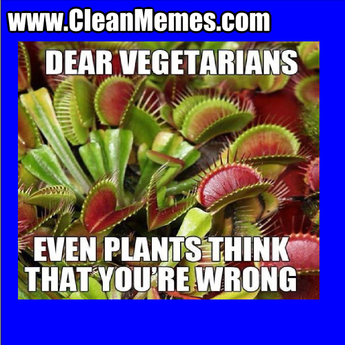 DearVegetarians