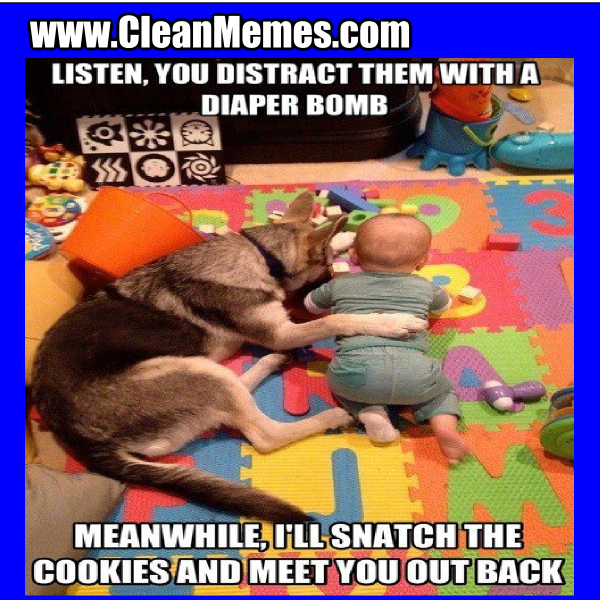 DiaperBomb