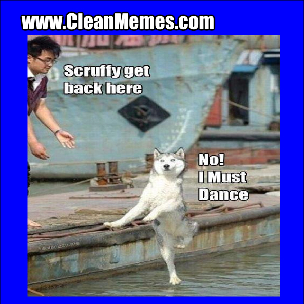 DoggyMustDance
