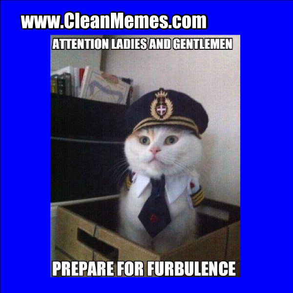 Furbulence
