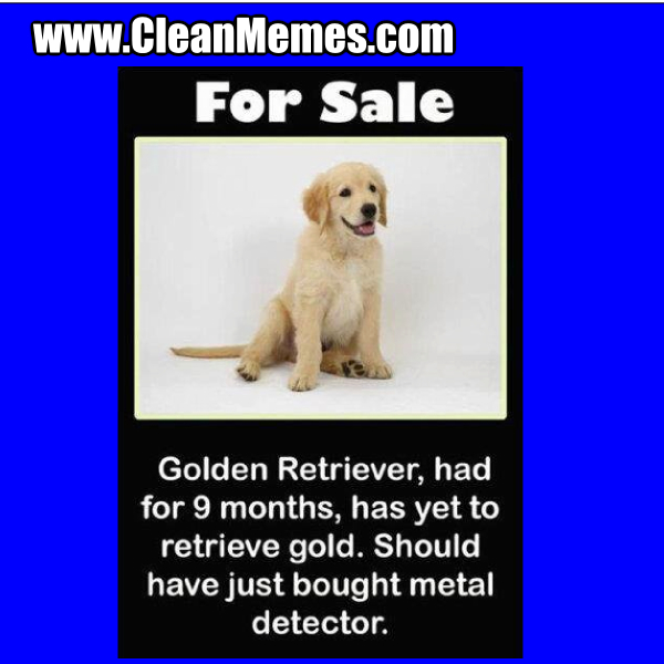 GoldenRetriever