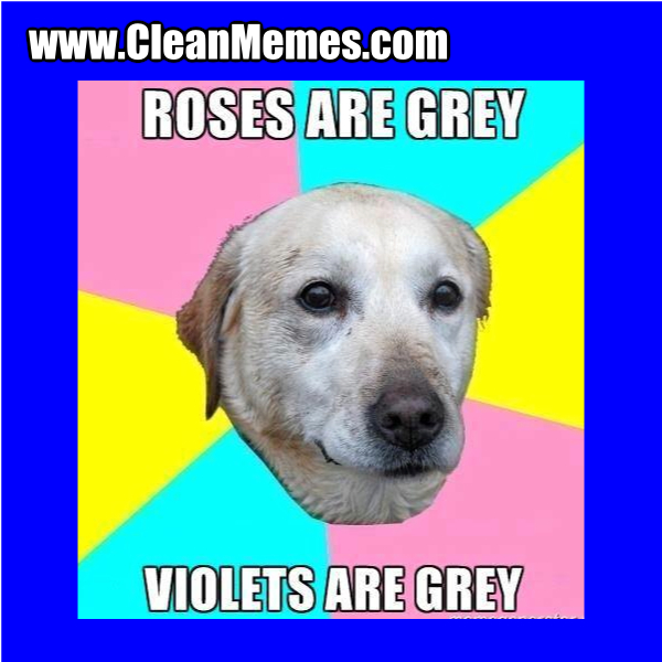 GreyVioletsRoses