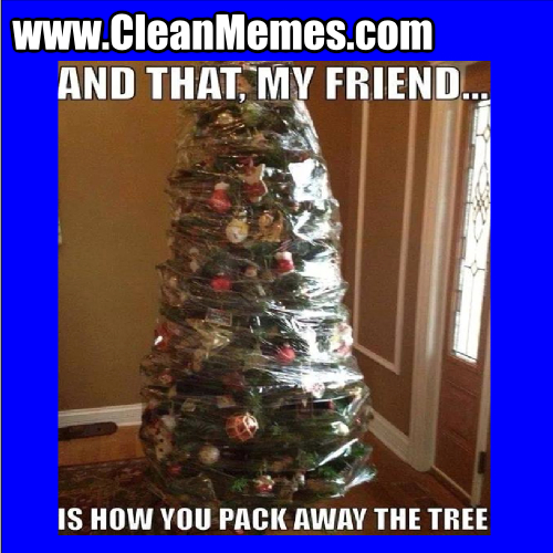 HowYouPackAwayTheTree