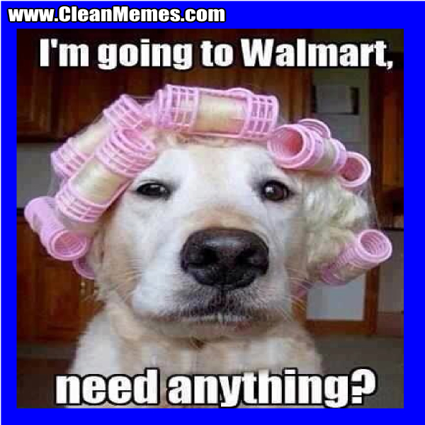 ImGoingToWalmartNeedAnything