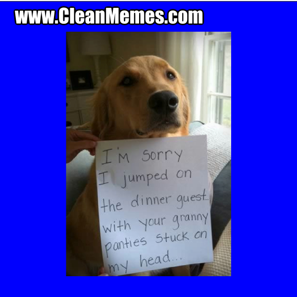 JumpedOnTheDinnerGuest