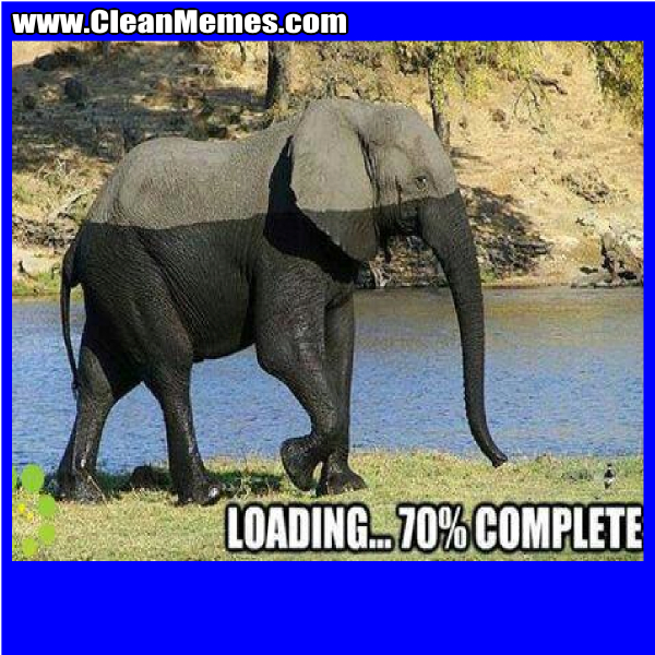 LoadingElephant