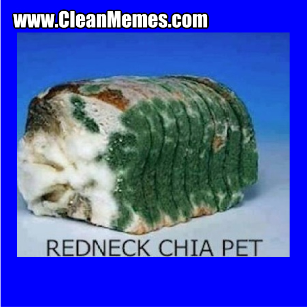 RedneckChiaPet