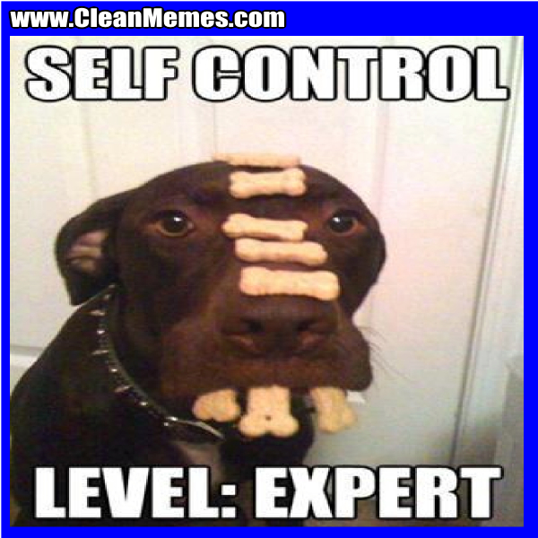 SelfControlLevelExpert