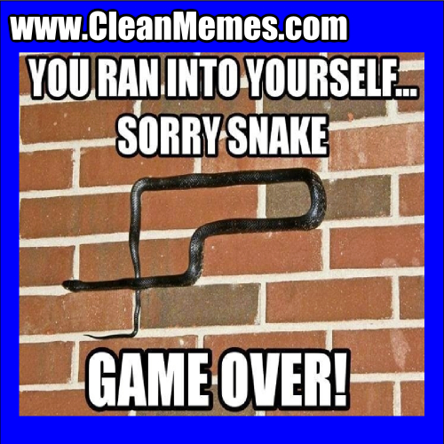 SorrySnake