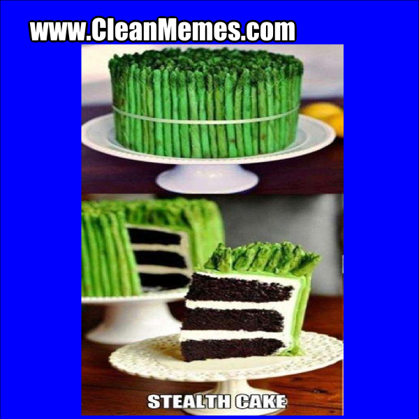 StealthCake