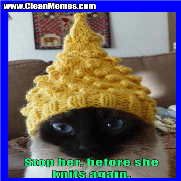 StopHerBeforeSheKnitsAgain