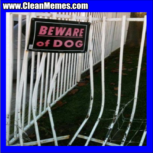 BewareOfDog