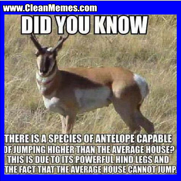 DidYouKnow