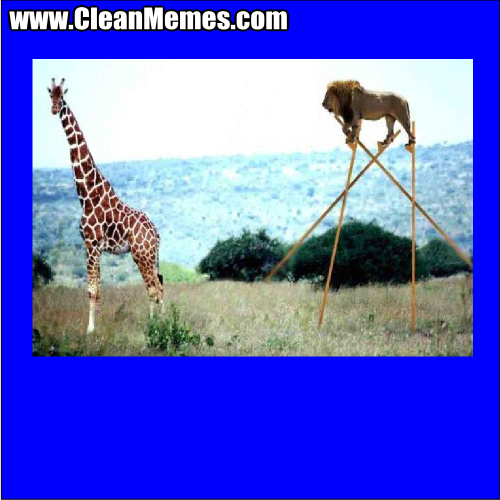 LionGiraffeStilts