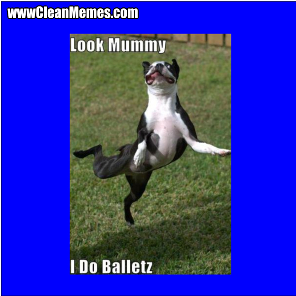 LookMummyIDoBalletz
