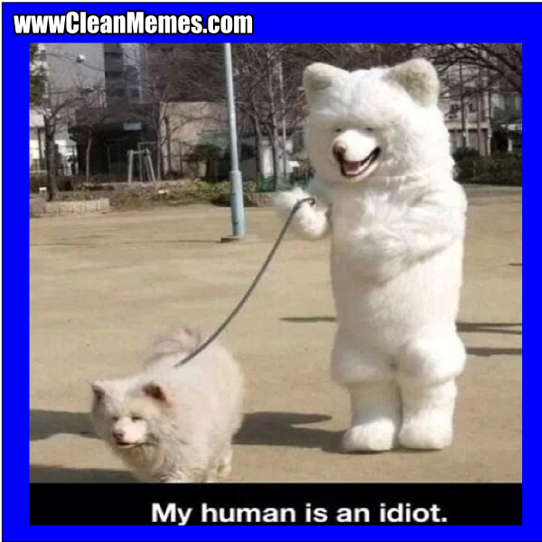 MyHumanIsAnIdiot