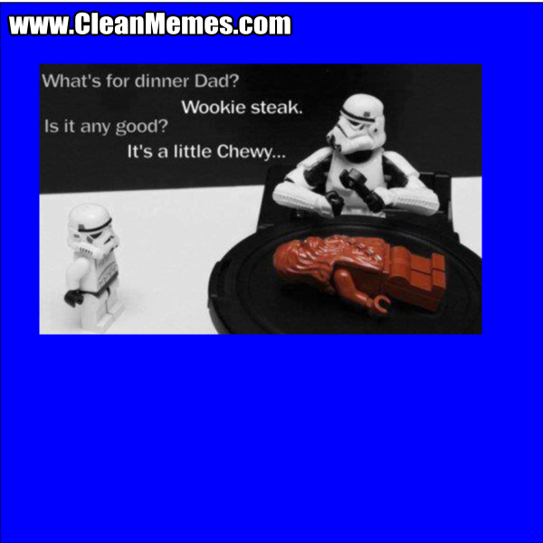 WookieSteak
