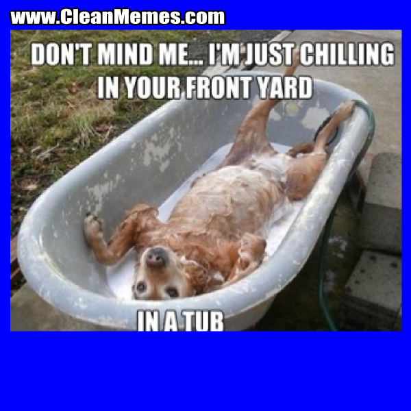 ChillingInYourFrontYard