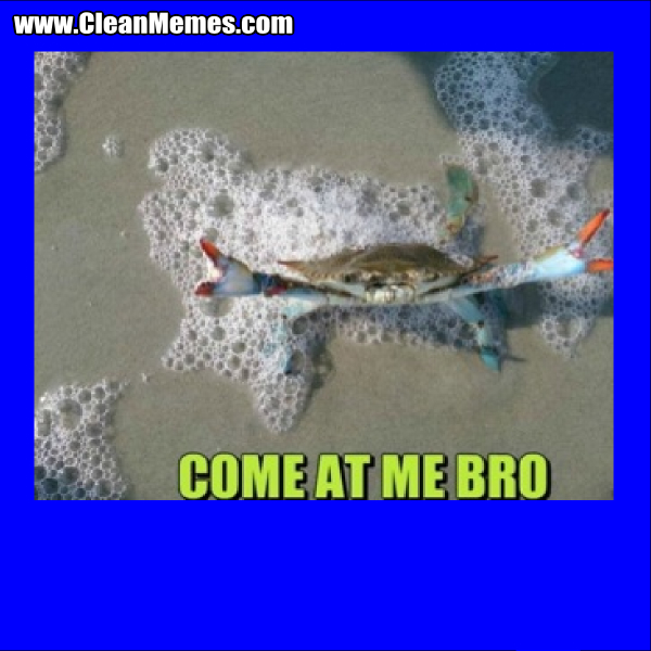 ComeAtMeBro