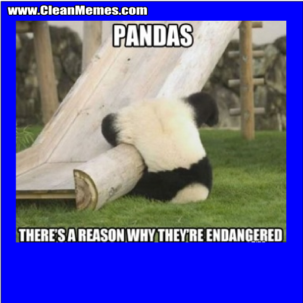 EndangeredPanda