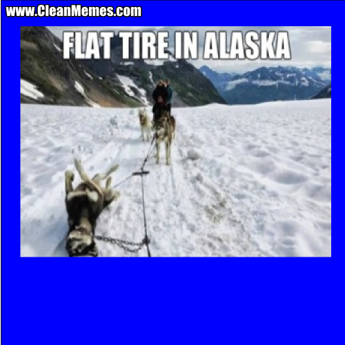 FlatTireInAlaska