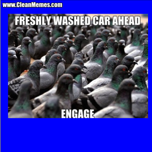 FreshlyWashedCarAhead