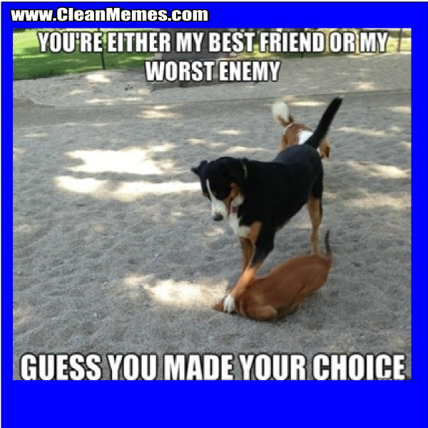 GuessYouMadeYourChoice