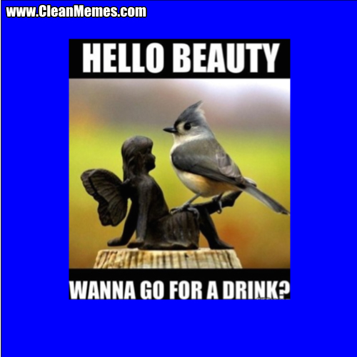 HelloBeautyWannaGoForADrink