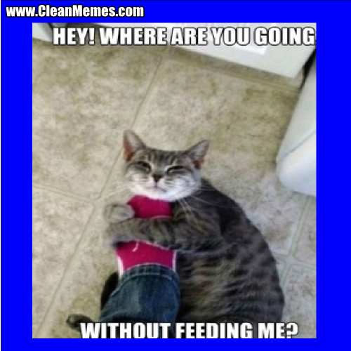 HeyWhereAreYouGoingWithoutFeedingMe