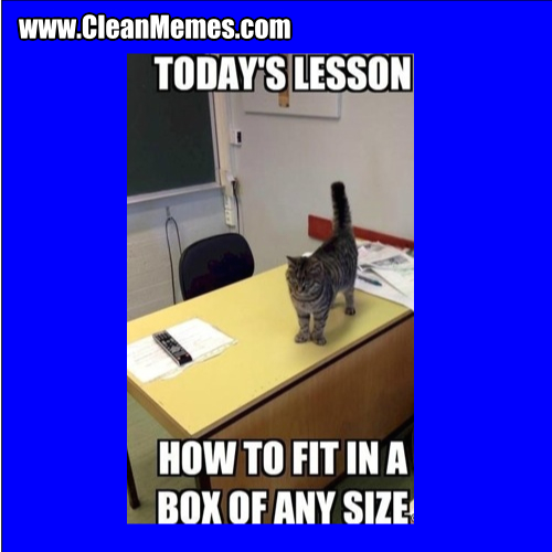 HowToFitOnABoxOfAnySize