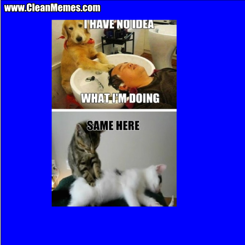 IHaveNoideaWhatImDoing