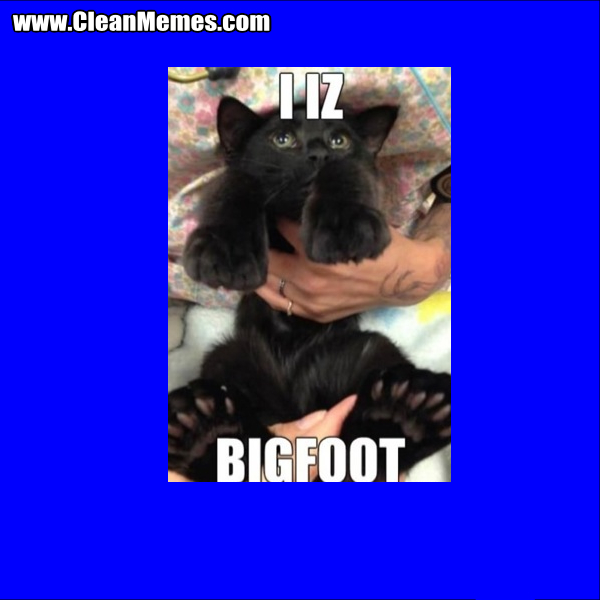 IIzBigfoot