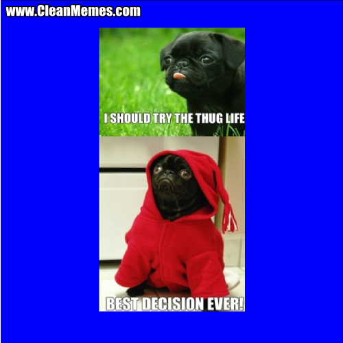 IShouldTryTheThugLife