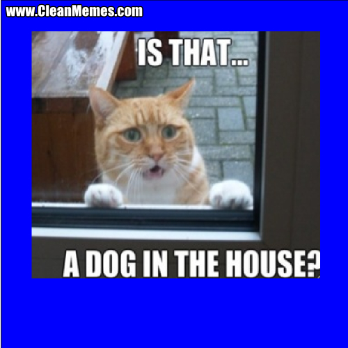 IsThatADogInTheHouse